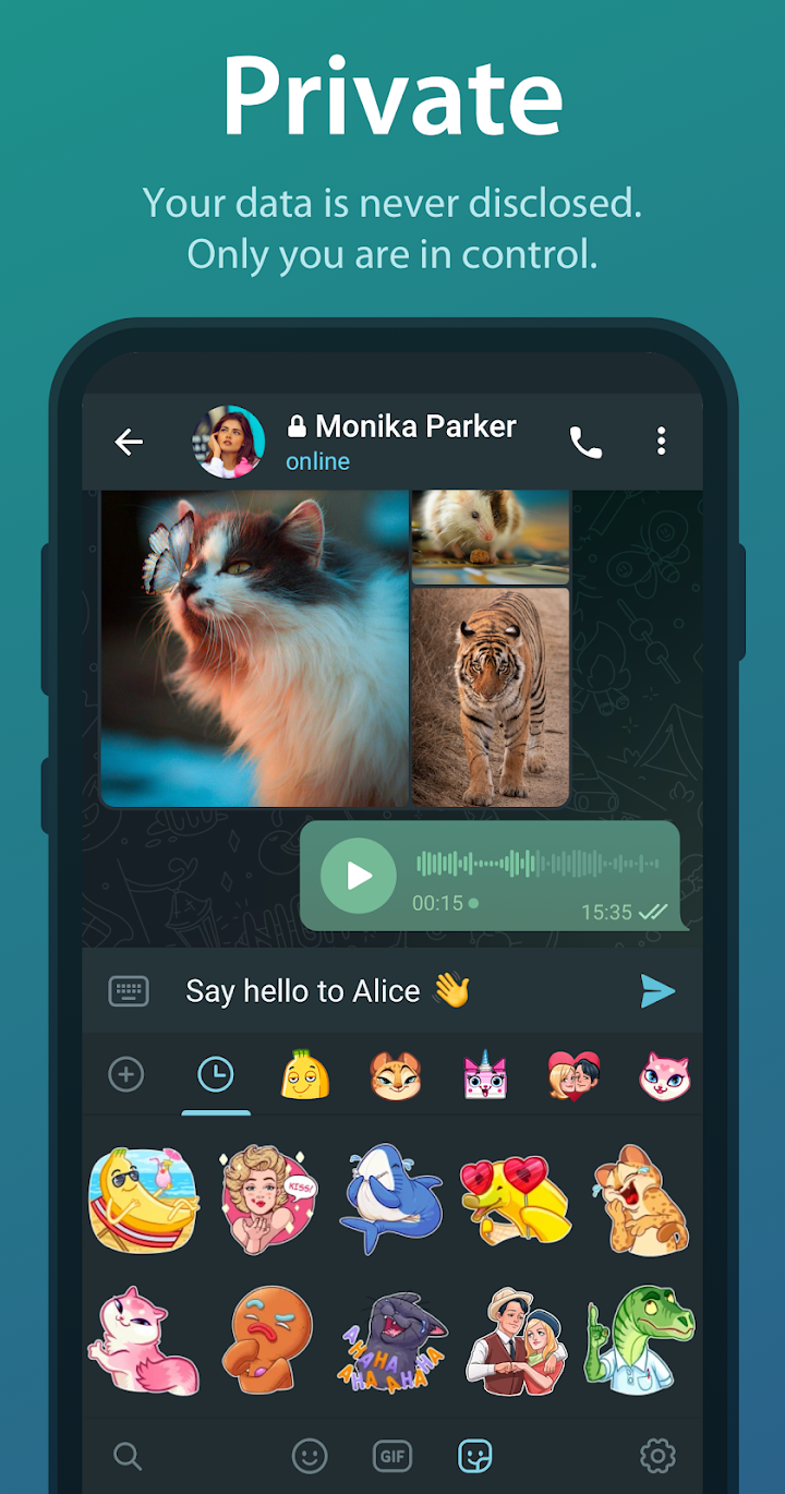 Telegram screenshot